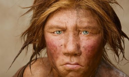 Intoarcerea neanderthalilor