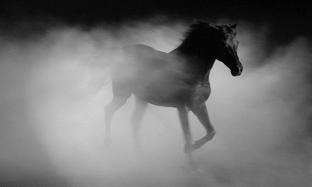 Calul – mitologia zeilor