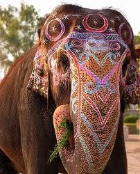 Elefantul in lumea simbolurilor