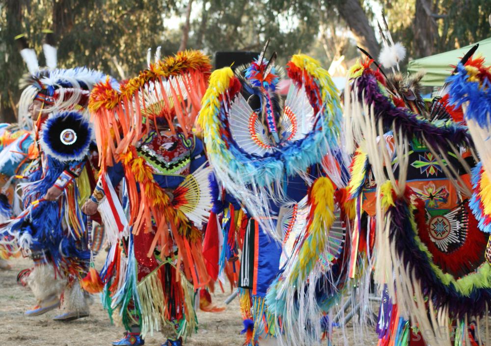 Dansul indienilor nativ-americani