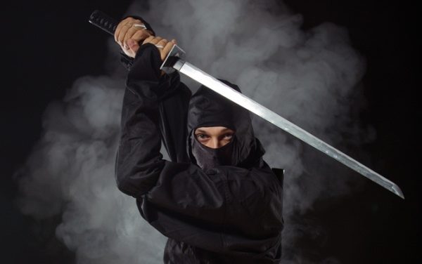 Tot ce stiti despre mitul ninja este gresit