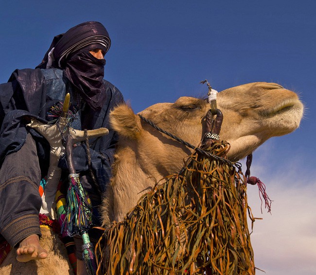 Berberii, stapanii desertului