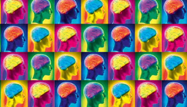 Creierul – mituri, descoperiri si ciudatenii